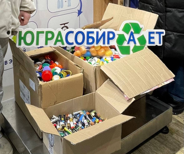 Эковолонтеры Эковолонтеры.
